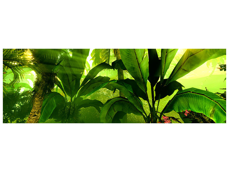 4-piece-canvas-print-sunrise-in-the-rainforest