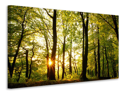 panoramic-3-piece-canvas-print-sunset-between-trees