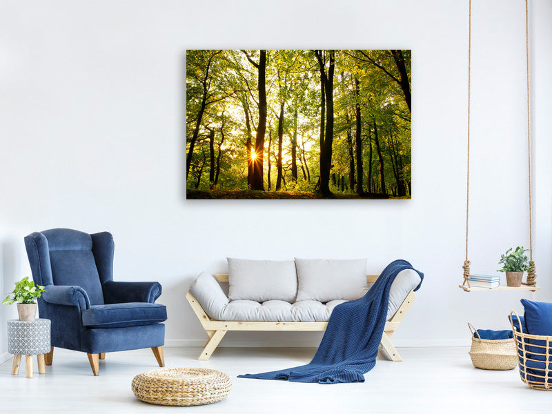 modern-4-piece-canvas-print-sunset-between-trees