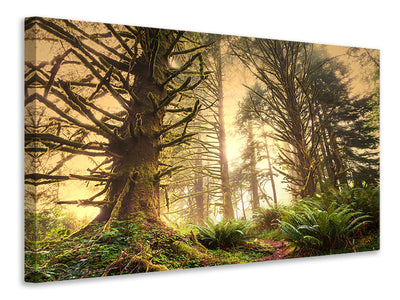 modern-3-piece-canvas-print-sunset-in-jungle