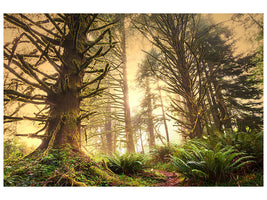 modern-4-piece-canvas-print-sunset-in-jungle