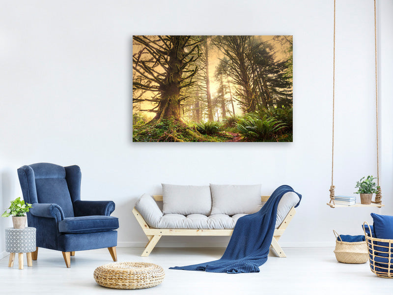 4-piece-canvas-print-sunset-in-jungle