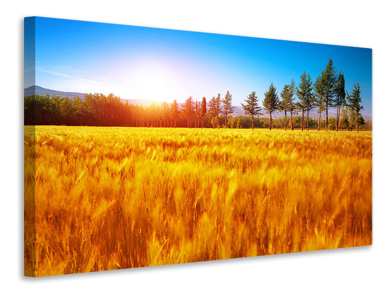 modern-4-piece-canvas-print-the-autumn