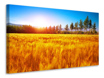 modern-3-piece-canvas-print-the-autumn