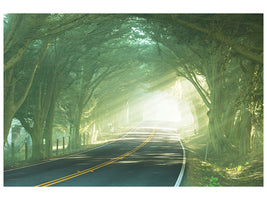 4-piece-canvas-print-the-avenue