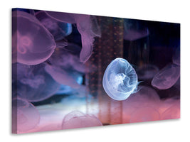 modern-3-piece-canvas-print-the-beauty-of-jellyfish
