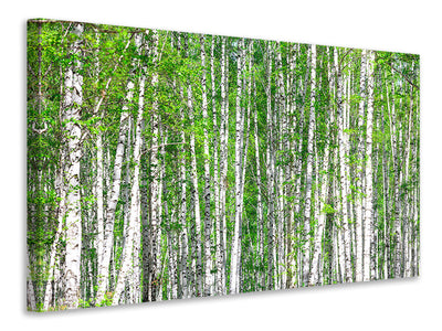 modern-3-piece-canvas-print-the-birch-forest