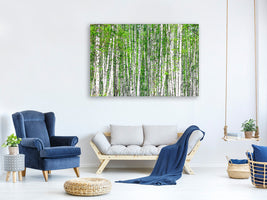 5-piece-canvas-print-the-birch-forest