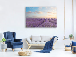 modern-4-piece-canvas-print-the-blooming-lavender-field