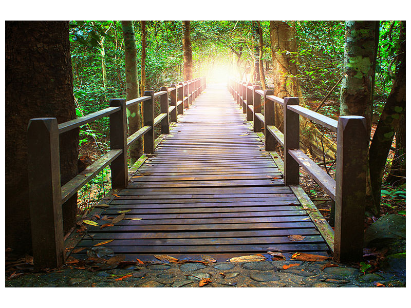 panoramic-canvas-print-the-bridge-in-the-forest