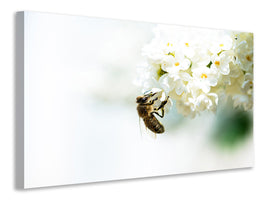 modern-4-piece-canvas-print-the-bumblebee-and-the-flower