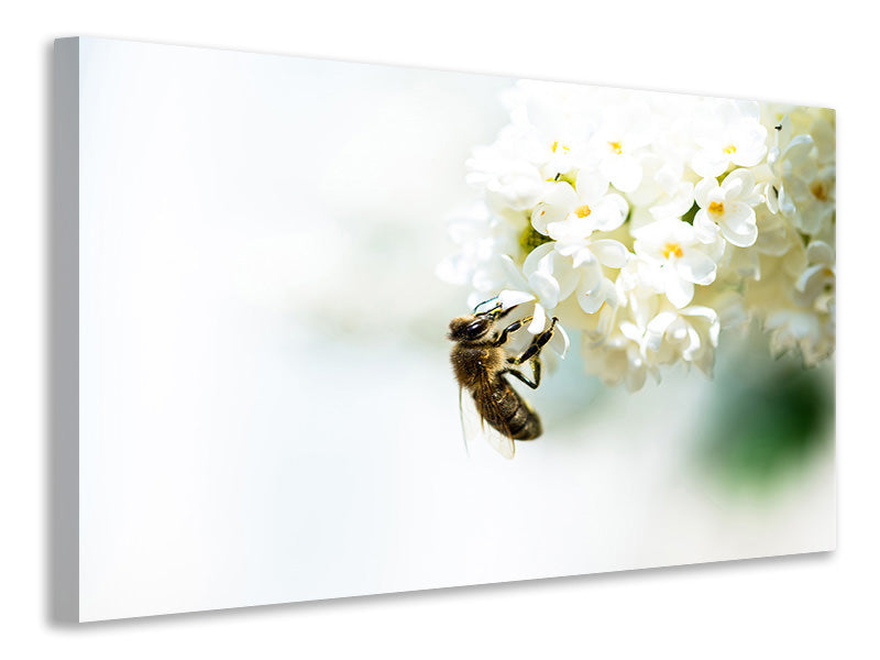 4-piece-canvas-print-the-bumblebee-and-the-flower