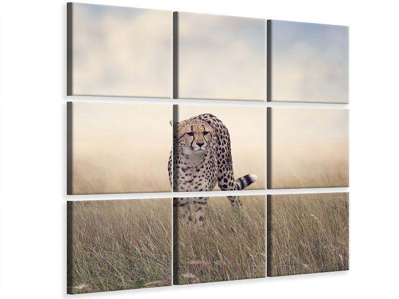 4-piece-canvas-print-the-cheetah