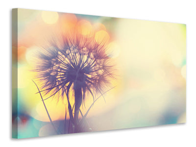 modern-3-piece-canvas-print-the-dandelion-in-the-light