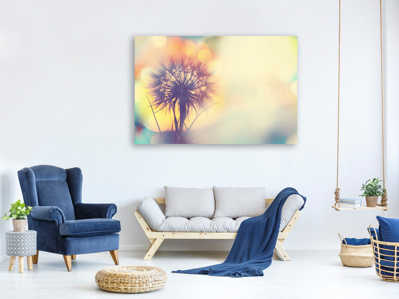 panoramic-3-piece-canvas-print-the-dandelion-in-the-light