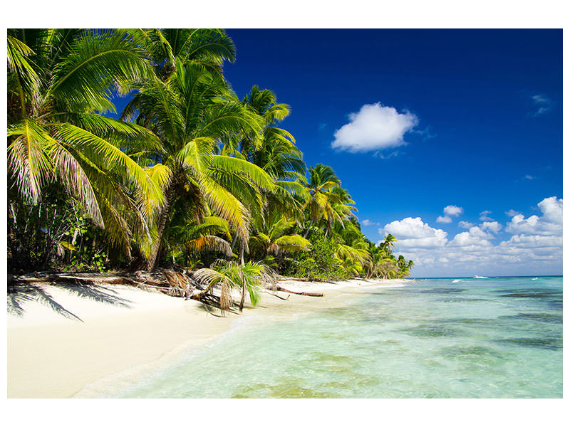 5-piece-canvas-print-the-deserted-island