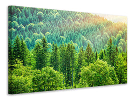 panoramic-3-piece-canvas-print-the-forest-hill