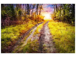 4-piece-canvas-print-the-forest-path