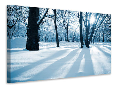 3-piece-canvas-print-the-forest-without-tracks-in-the-snow