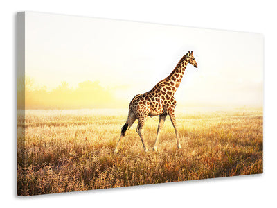 3-piece-canvas-print-the-giraffe