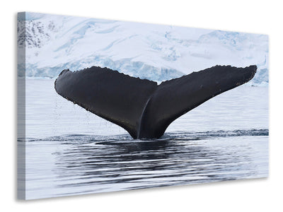 3-piece-canvas-print-the-humpback-whale