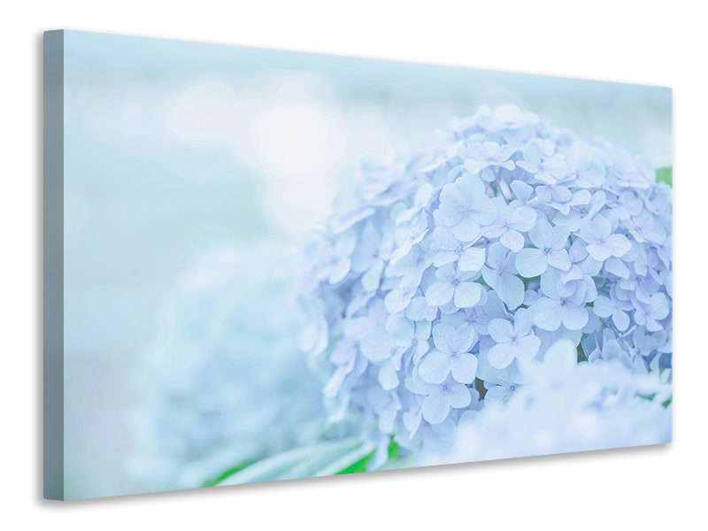 modern-4-piece-canvas-print-the-hydrangea