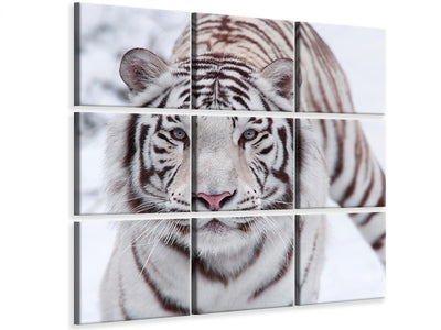 canvas-print-the-king-tiger
