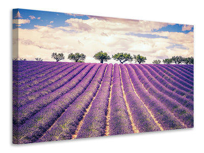 modern-3-piece-canvas-print-the-lavender-field-ii