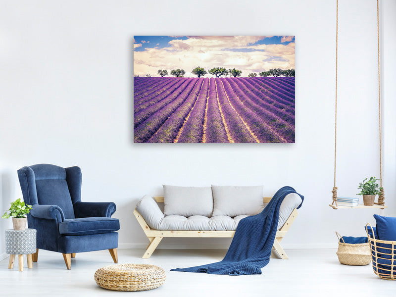 4-piece-canvas-print-the-lavender-field-ii