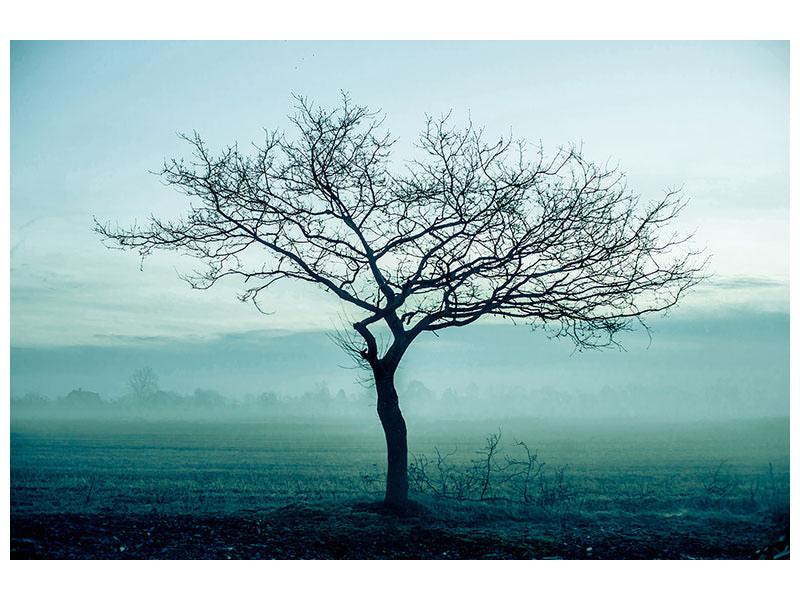 4-piece-canvas-print-the-magic-tree