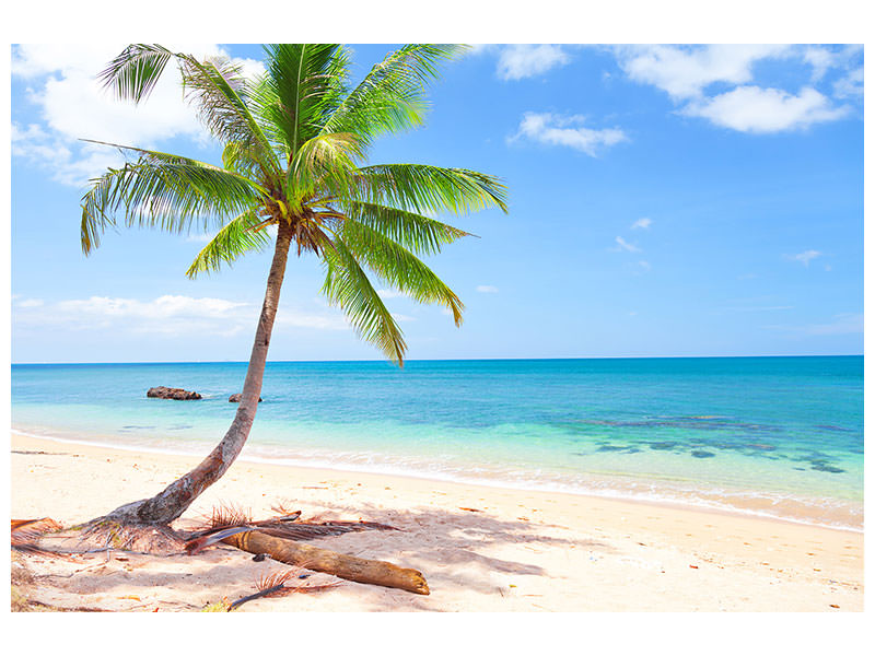 modern-3-piece-canvas-print-the-own-island