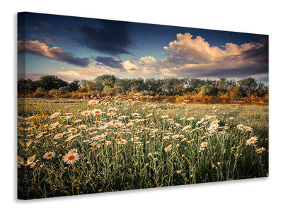 3-piece-canvas-print-the-ox-on-the-river