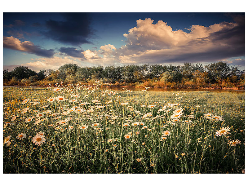 modern-4-piece-canvas-print-the-ox-on-the-river