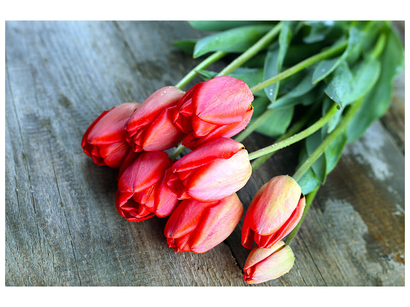 5-piece-canvas-print-the-red-tulip-bouquet