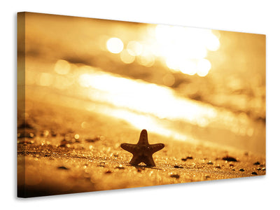modern-4-piece-canvas-print-the-starfish