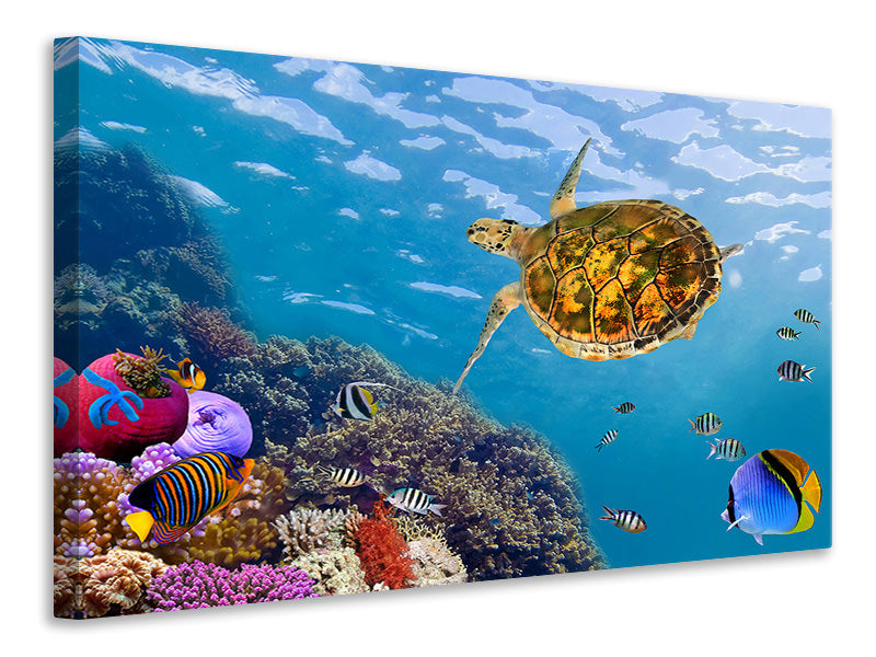 modern-4-piece-canvas-print-the-turtle