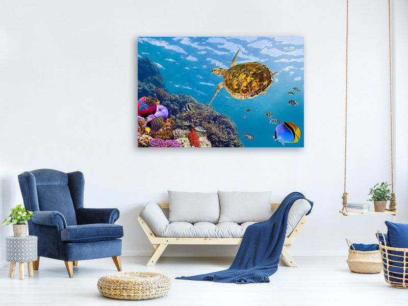 3-piece-canvas-print-the-turtle