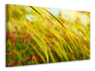 5-piece-canvas-print-the-wheat-field