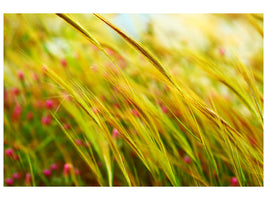 panoramic-3-piece-canvas-print-the-wheat-field