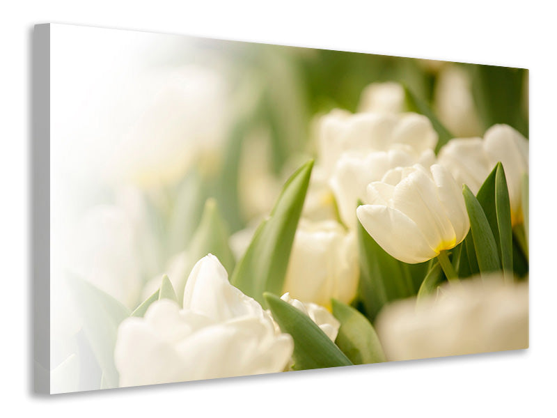 5-piece-canvas-print-tulips-perspective