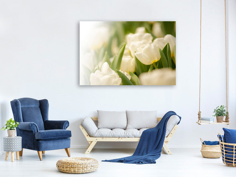 5-piece-canvas-print-tulips-perspective