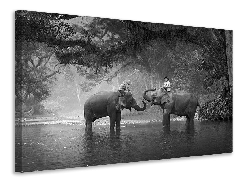 modern-4-piece-canvas-print-two-elephants