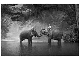 modern-4-piece-canvas-print-two-elephants