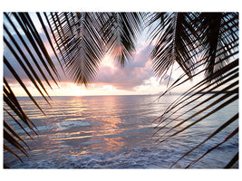panoramic-canvas-print-under-palm-leaves