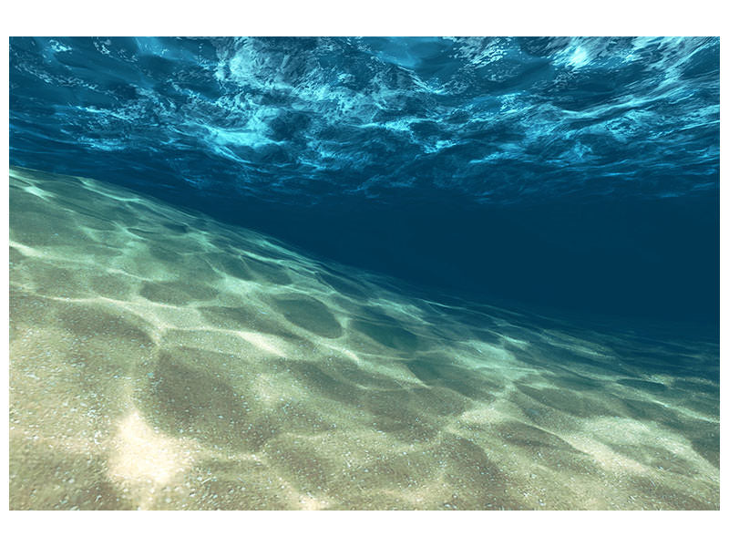 5-piece-canvas-print-under-the-water
