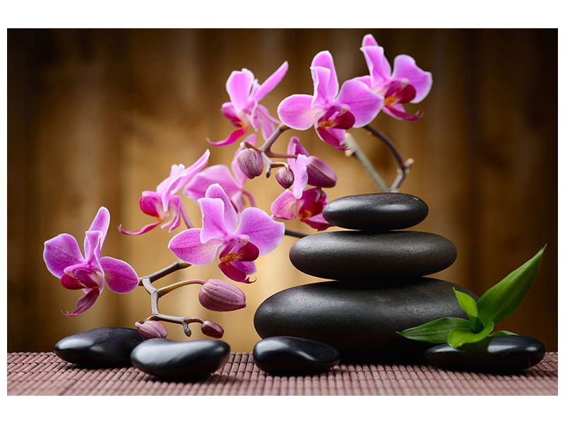 5-piece-canvas-print-wellness-stones