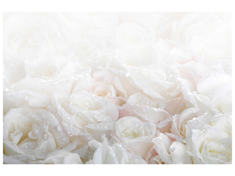 modern-3-piece-canvas-print-white-roses-in-the-morning-dew