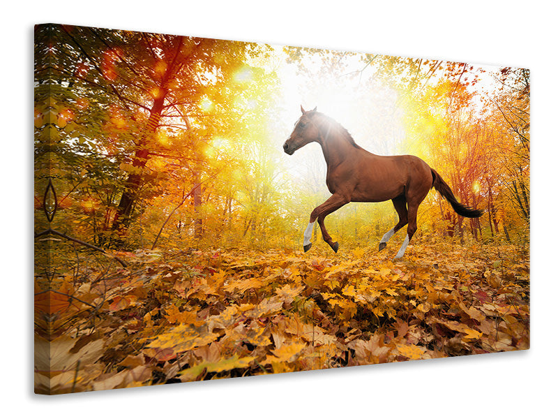 5-piece-canvas-print-whole-blood-in-autumn-forest