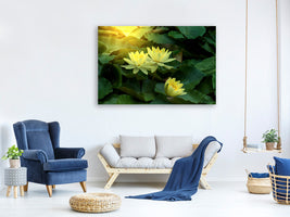 4-piece-canvas-print-wild-lotus