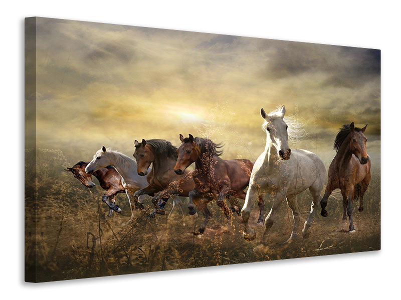 4-piece-canvas-print-wild-wild-horses